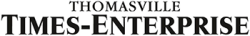 Times Enterprise Logo