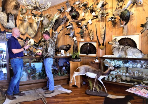 Click to view profile for Harden's Taxidermy