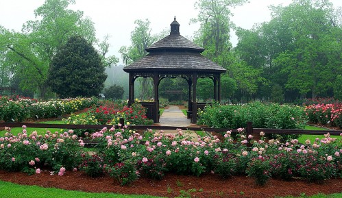 Click to view profile for Thomasville Rose Garden and Cherokee Lake Park