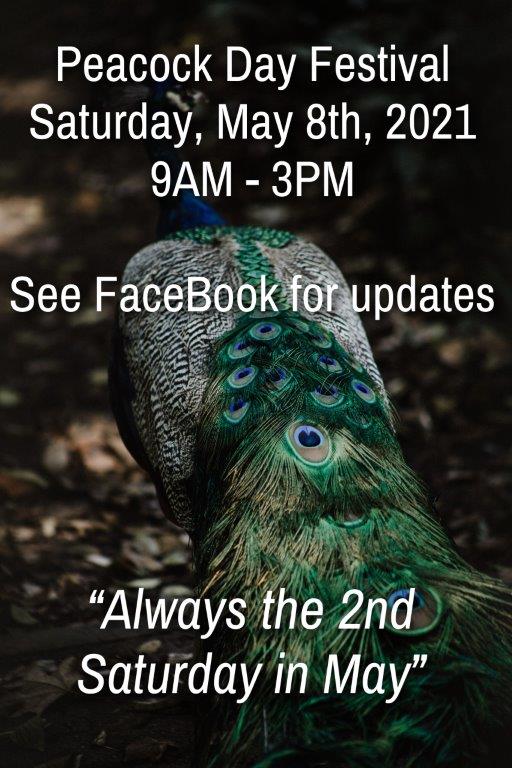 Pavo Peacock Day Festival  Event Photo