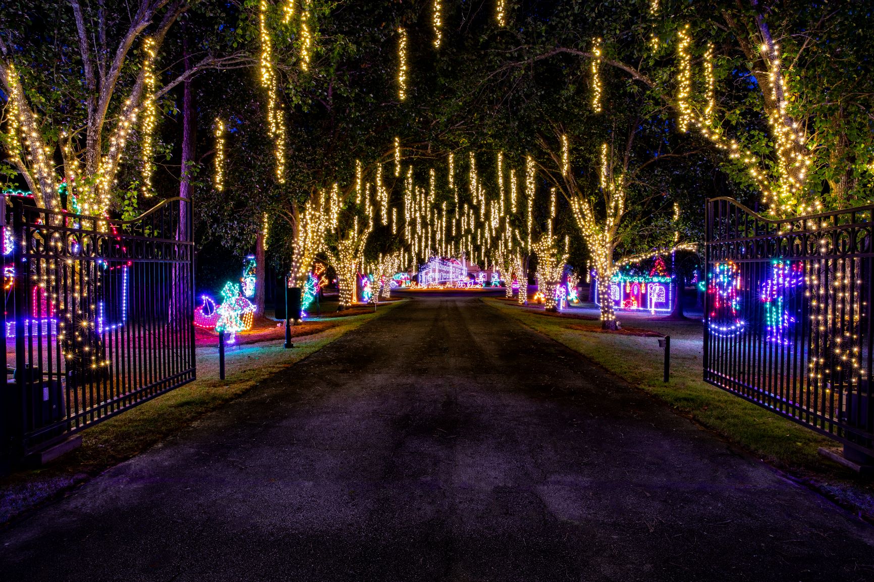 Flowers Foods Christmas in Lights Visit Thomasville,