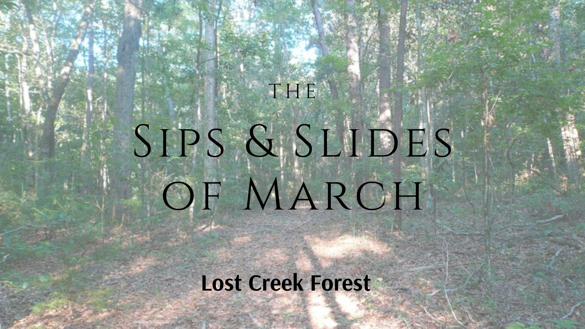 Sips & Slides of March Lecture: Lost Creek Forest  Event Photo