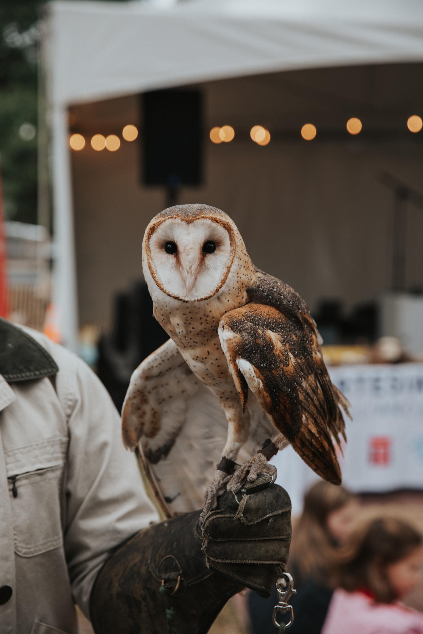 Wildlife Arts Festival | Land & Lore Series  Event Photo