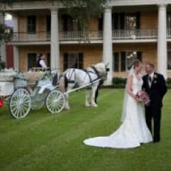 Click to view profile for Trammel Black Carriages